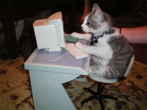A cat sitting on a computer